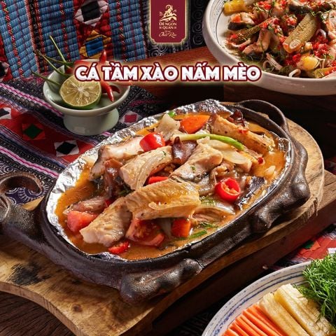  Cá tầm xào nấm mèo bản gang 
