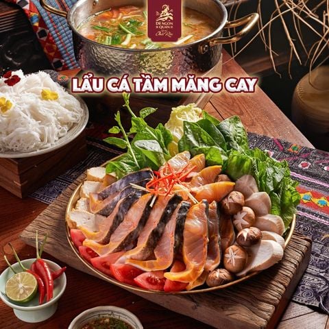  Lẩu cá tầm mang cay 