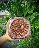 Gạo lứt sấy rong biển ăn liền Đạt Food