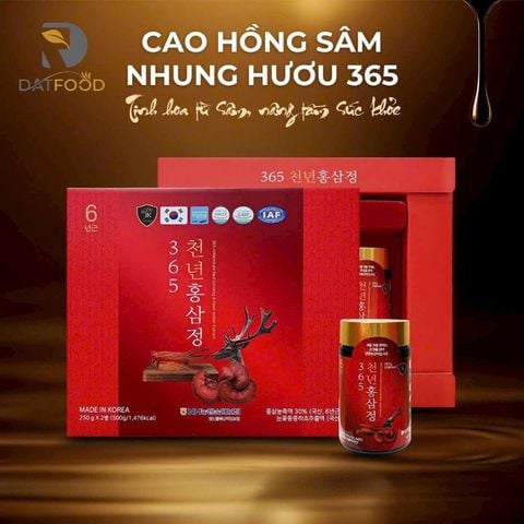 Cao hồng sâm nhung hươu 365 Hàn Quốc