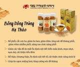 Nấm đông trùng hạ thảo khô Daedong Hàn Quốc Hộp 100gr