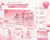 Nước uống đẹp da Girl Collagen Hàn Quốc hộp 10 chai x 100ml
