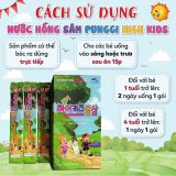 Nước hồng sâm cho bé Baby Punggi High Kids Red Ginseng