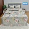  Bộ Drap B@n M@i Không Chần Gòn Họa Tiết BB08 