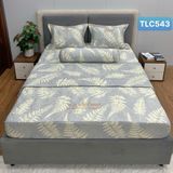  Bộ Drap White Swan TLC543 