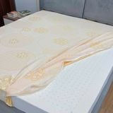  Nệm Cao Su Thiên Nhiên Forever 