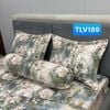  Bộ Drap Victoria TLV189 