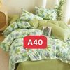  Bộ Drap Cotton Red Rose A40 