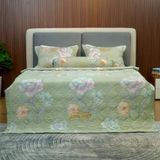 Bộ Drap White Swan TLC516 