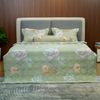  Bộ Drap White Swan TLC516 
