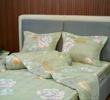  Bộ Drap White Swan TLC516 