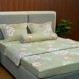  Bộ Drap White Swan TLC516 