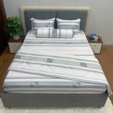  Bộ Drap Forever Không Chần Gòn Họa Tiết FB12 