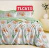  Bộ Drap White Swan TLC613 