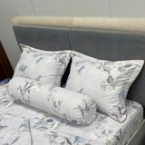  Bộ Drap Victoria TLV108 