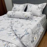  Bộ Drap Victoria TLV108 