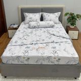  Bộ Drap Victoria TLV108 