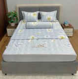  Bộ Drap Victoria TLV12 