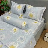  Bộ Drap Victoria TLV12 