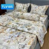  Bộ Drap Victoria TLV185 