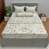  Bộ Drap Victoria TLV46 