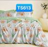  Bộ Drap Tencel Sweetly TS613 