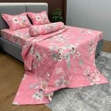  Bộ Drap B@n M@i Alpha TLA613 