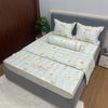 Bộ Drap White Swan TLC533 