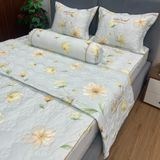  Bộ Drap White Swan TLC533 