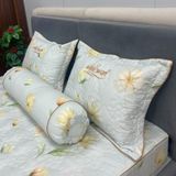  Bộ Drap White Swan TLC533 