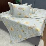  Bộ Drap White Swan TLC533 