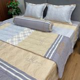  Bộ Drap White Swan TLC493 