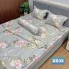  Bộ Drap B@n M@i Không Chần Gòn Họa Tiết BB08 