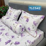  Bộ Drap White Swan TLC542 