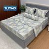  Bộ Drap White Swan TLC543 