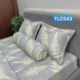  Bộ Drap White Swan TLC543 