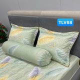  Bộ Drap Victoria TLV68 