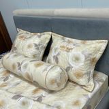  Bộ Drap White Swan TLC566 