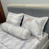  Bộ Drap White Swan TLC565 