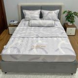  Bộ Drap White Swan TLC565 
