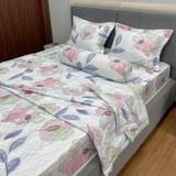  Bộ Drap Victoria TLV112 