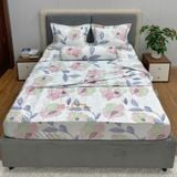  Bộ Drap Victoria TLV112 