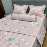  Bộ Drap Victoria TLV105 