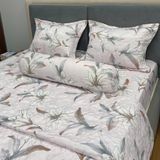  Bộ Drap Victoria TLV147 