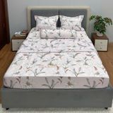  Bộ Drap Victoria TLV147 