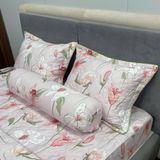  Bộ Drap Victoria TLV140 