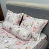  Bộ Drap Victoria TLV140 