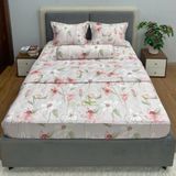  Bộ Drap Victoria TLV140 