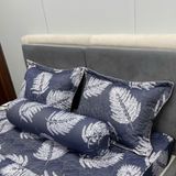  Bộ Drap Victoria TLV141 