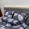  Bộ Drap Victoria TLV141 